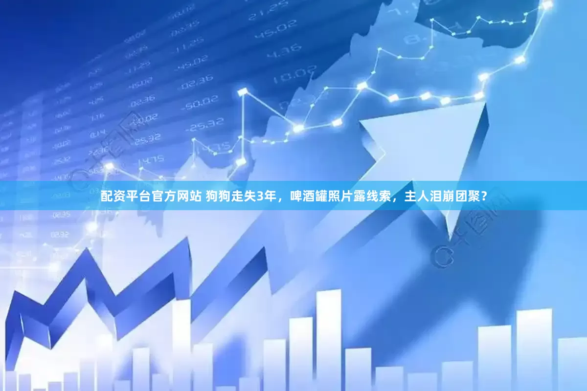配资平台官方网站 狗狗走失3年，啤酒罐照片露线索，主人泪崩团聚？