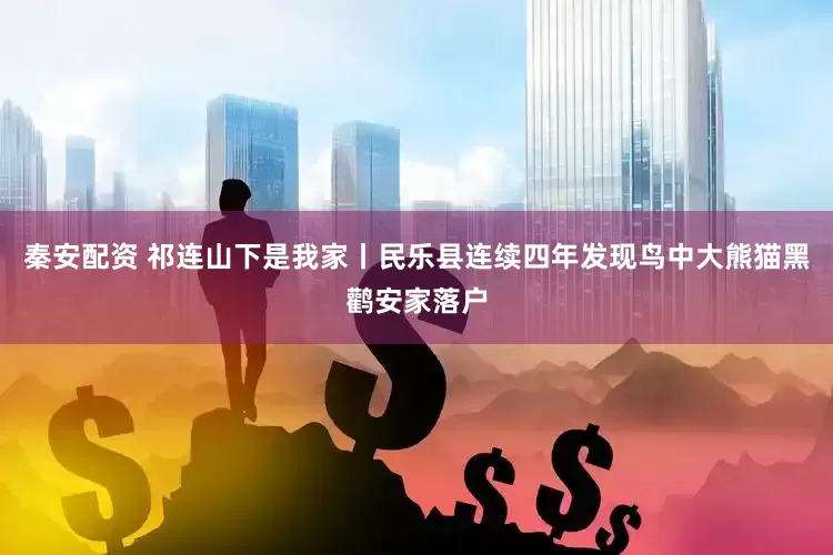 秦安配资 祁连山下是我家丨民乐县连续四年发现鸟中大熊猫黑鹳安家落户