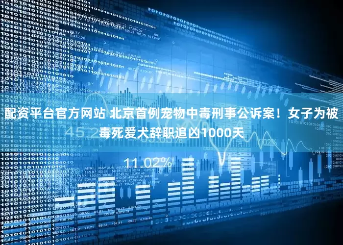 配资平台官方网站 北京首例宠物中毒刑事公诉案！女子为被毒死爱犬辞职追凶1000天
