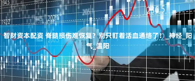 智财资本配资 脊髓损伤难恢复？别只盯着活血通络了！_神经_阳气_温阳
