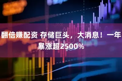 翻倍赚配资 存储巨头，大消息！一年暴涨超2500%